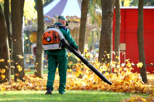 Soundproofing Your Yard Work: How to Quiet a Noisy Leaf Blower Effectively