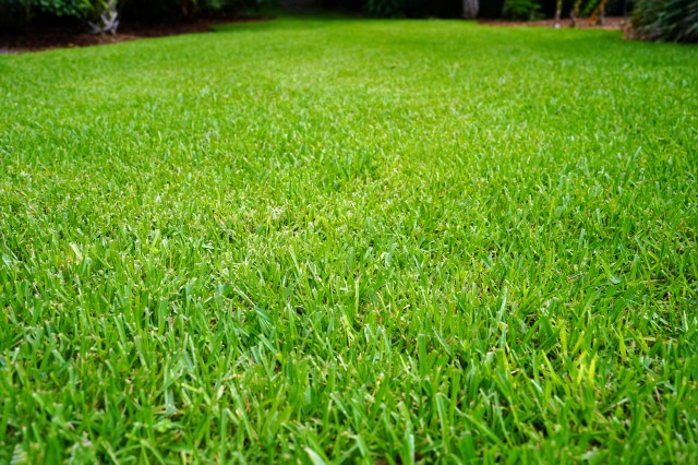 How to Select the Perfect Grass Cutting Height for a Healthy Lawn